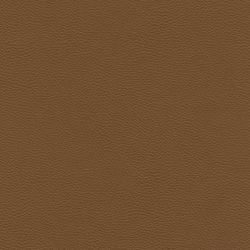 Colour – Tan