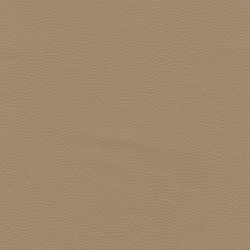 Colour – Stone