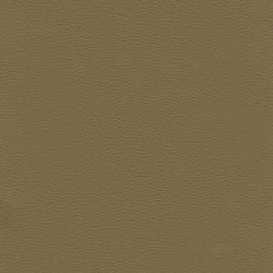 Colour – Khaki