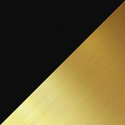 Black/Gold
