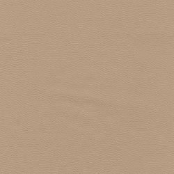 Colour – Stone