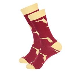Similar Products – Maroon/Gold Florida Socks