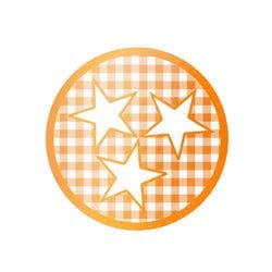 Similar Products – Gingham Tri Star Sticker