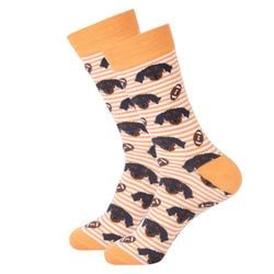 Similar Products – Bluetick Coonhound with Football Socks