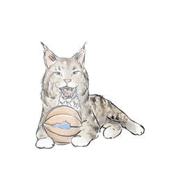 Similar Products – Wildcat With Basketball Sticker