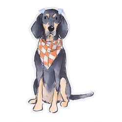 Similar Products – Bluetick Coonhound Door Hanger