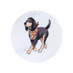 Similar Products – Walking Coonhound Marble Coaster