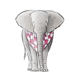 Similar Products – Elephant Front Sticker