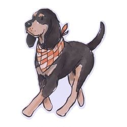 Similar Products – Walking Bluetick Coonhound Sticker