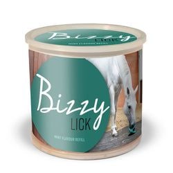 Flavour – Mint