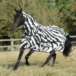 Style – Horse