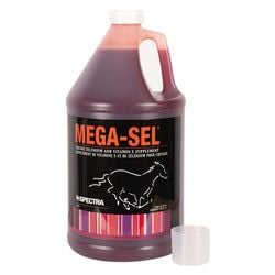 Size – 3.78 L