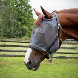 Style – Standard