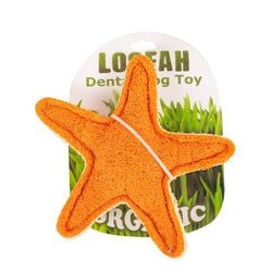 Style – Starfish