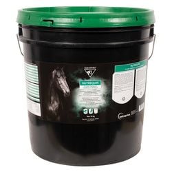 Size – 10 kg