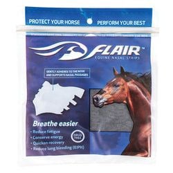 Quantity – Pack of 6