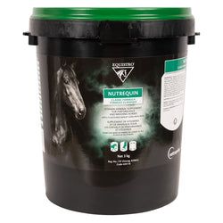 Size – 3 kg