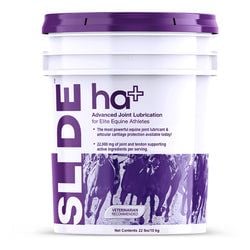 Taille – 10 kg