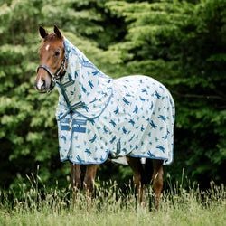 Style – Standard