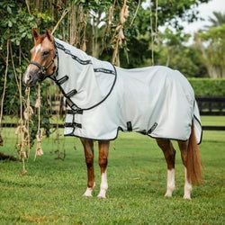 Style – Quarter Horse