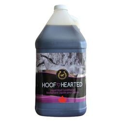 Size – 3.8 L