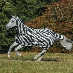 Style – Pony