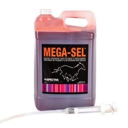 Size – 9.5 L