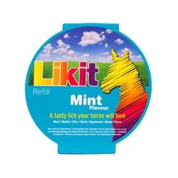 Flavour – Mint