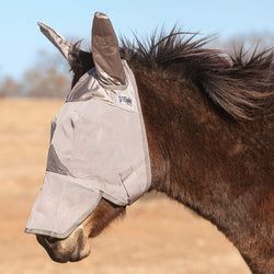 Style – Mule