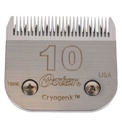Taille – 10