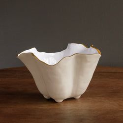 Color – Cream & White