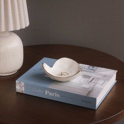 Color – Cream