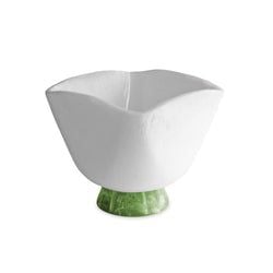 Color – White and Green