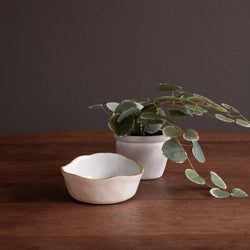 Color – Cream & White