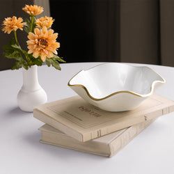 Color – Cream & White
