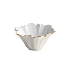 Color – Cream & White