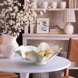 Color – Cream & White