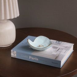 Color – Sky Blue
