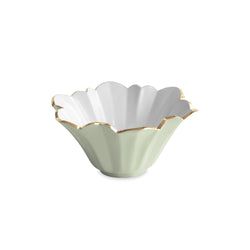 Color – Pistachio & White