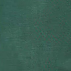 Pattern / Color – Cypress