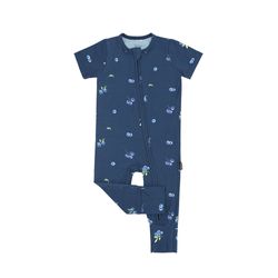 Pattern / Color – Blueberries