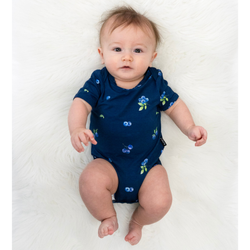 Pattern / Color – Blueberries