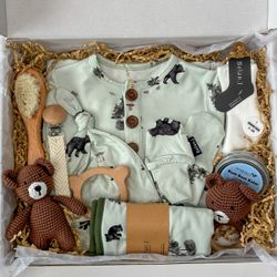 Color – Black Bears