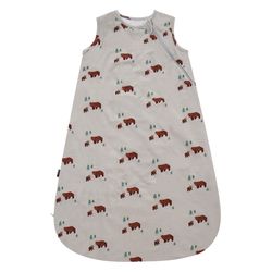 Printed Collection – Bears