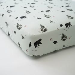 Black Bears