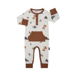Pattern / Color – Foxes