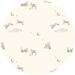 Color – Little Lambs