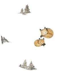 Color – Foxes