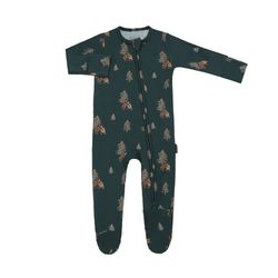 Printed Collection – Owls