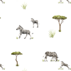 Printed Collection – Zebras